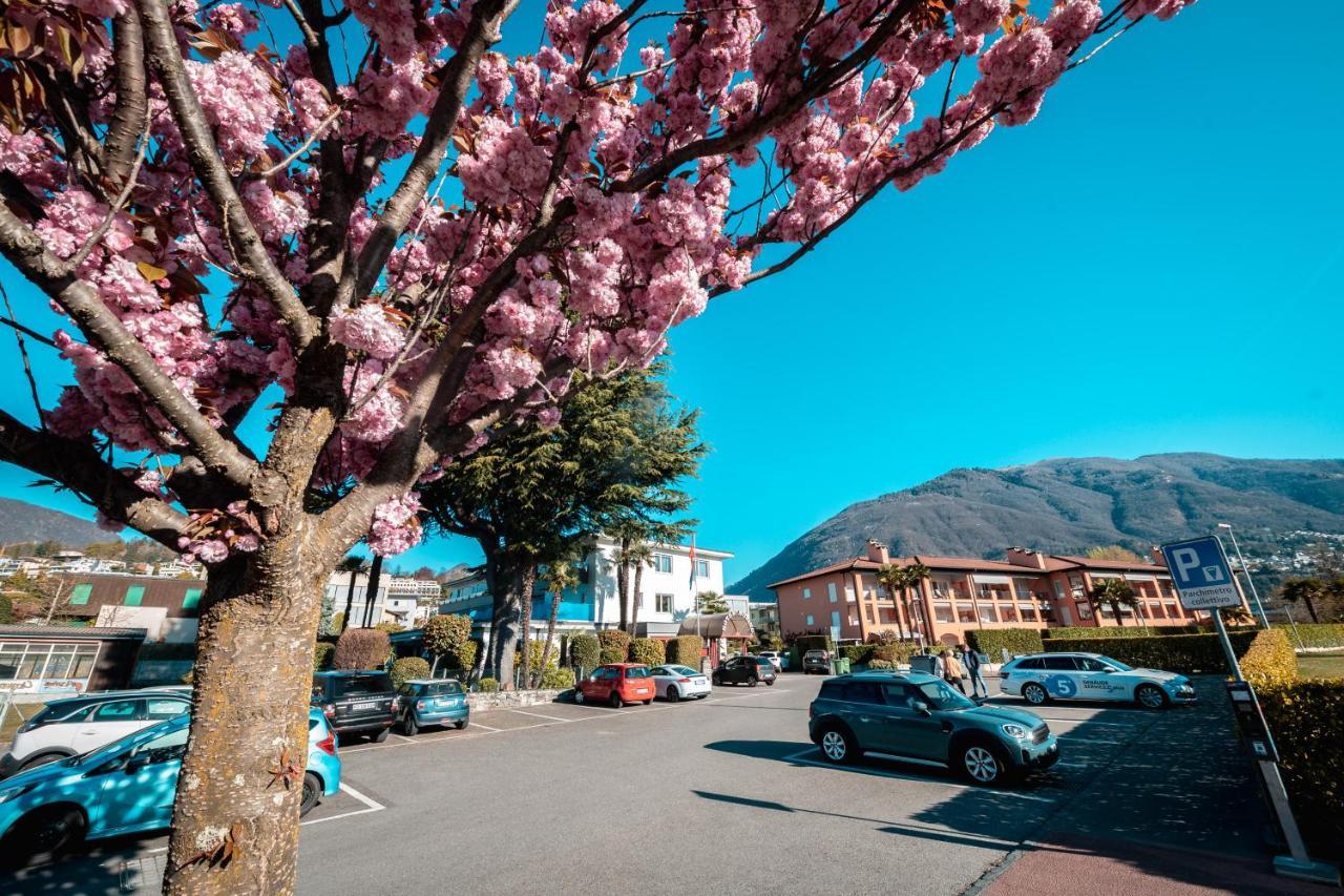 Ascona Lodge, Pool & Garden Retreat Exteriör bild